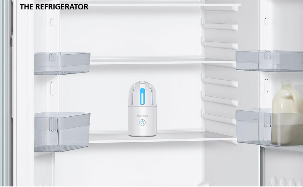 Protable UV Light