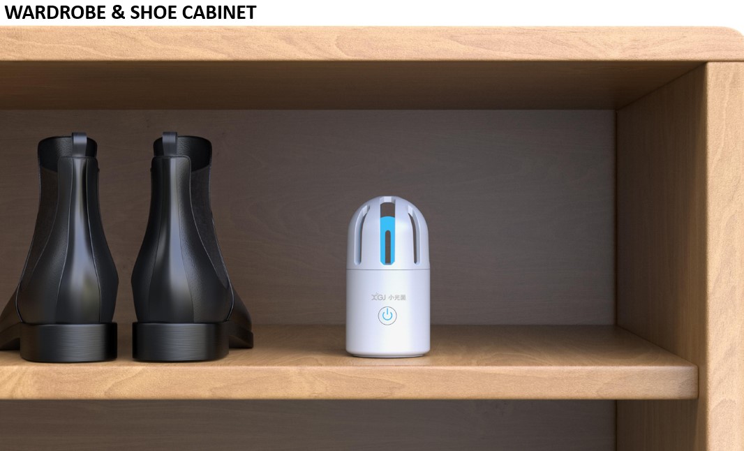 Protable UV Light